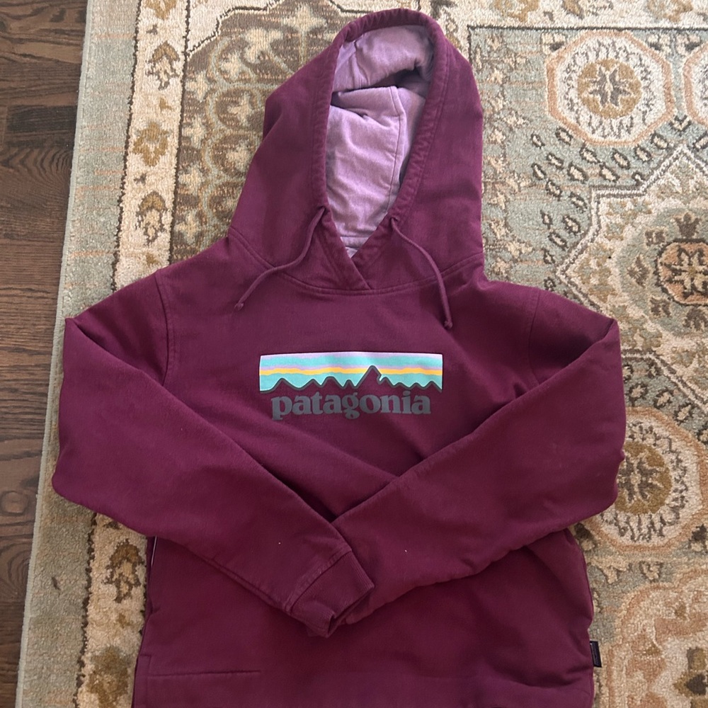 Patagonia Burgundy Hoodie